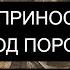 ЕСЛИ ПРИНОСЯТ ПОРЧУ ПОД ПОРОГ