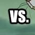 Mowgli The Seahawks Fan Vs Shere Kahn The Cincinnati Bengal Jungle Book PARODY RIVALS