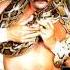 Jake The Snake Roberts 1st Theme Song Snake Bit