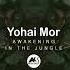 Yohai Mor Awakening In The Jungle Original Mix