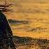 Skyhunter Sunset Cruise Soluna Music