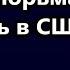 ПОЕХАВШИЕ В США Зарплата в крипте Буду вас сажать забирать лицензии установлю социолизм