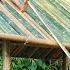 Kind Man Helps Orphan Boy With Bamboo Roof The Orphan Boy S Bamboo House Is Being Completed