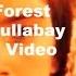 Deep Forest Deep Forest Sweet Lullaby Official Video