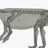 Growth Series Of Mussaurus Patagonicus Dinosaur 3D Models