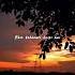Dekha Hazaro Dafa Aapko Lyrics Video Status Love Lyrics Aesthetic Music Love Calm Shorts