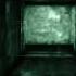 Я догоню тебя Поросеночек Outlast