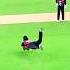 The Best Flying Catch Of ECL Fukrainsaan Shorts Eclcricket Abhishekmalhan Cricket Catch