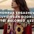 Shohrux Ergashev Kambag Al Deyishsa Chidab Turolsam Slowed Reverb Lyrics Slowed Reverb