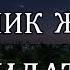 ЧИЛ ЁСИН ЎҚТИШЛИК ЖОИЗМИ ЁКИ БИДАЪТМИ