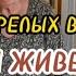 Обзор дома престарелых в Германии Мюнхен Сколько это стоит и кто за это платит Румтур