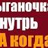 Увидев брошенный богатый авто в лесу маленькая цыганочка залезла внутрь погреться А когда услышала