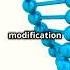 How Genetic Modification Is Shaping Our World Today