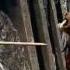 Troglodyte Of Sinbad For Animation Popping ODT