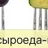 Анализ крови сыроеда вегана Холестерин железо витамин B12 сахар в крови