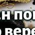 Кто копает яму другому или как Аман попался на свою веревку Рав Гедалья Шестак