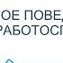 На смелое поведение и высокую работоспособность Сытин Г Н