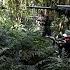 In The Jungle With The ELN The Last Colombian Guerilla AFP