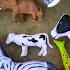 Zoo Animals Find Cow Dog Cat Horse Lion Tiger Camel Sheep Elephant Wolf Panda