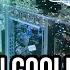 What Is It Immersion Cooling In 60 Seconds