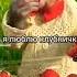 Ты любишь земляничку а я люблю клубничку