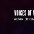 PREMIERE Voices Of Valley Aesir Original Mix Steyoyoke