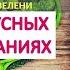 При ВИРУСНЫХ заболеваниях ГРИППЕ ОРВИ необходимо ПИТАТЬСЯ ЗЕЛЕНЬЮ Бутакова О А и Фролов Ю А