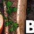 Roasted Marrow Bones Recipe Delicious Bone Marrow