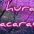 Isabel Garcés Olga Lucía Vives Inspiración Subtitulada En Español