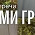 С нами грибы Микродозинг и целеполагание Дмитрий Долгих Михаил Вишневский