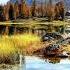 Ivory Tower Philip Ayers Celtic Music Ambient Relaxing Music Calming Flute Music
