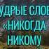 Мудрые Слова Никогда Никому Не Завидуй Мудрые Мысли цитаты мудрость жизнь вдохновение стих