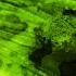 Decoding The Secret Signals Of Glow In The Dark Sea Creatures