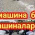 Ош жапалак унаа базары 20 10 24г 525шт билет калды 250сомдон эмне билет 0555 94 44 05 ватсап жазыңыз