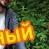 СОЛНЕЧНЫЙ ПЕНДЕЛЬ Артур Салихов как найти удалённую работу