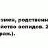 АСПИД что это такое значение и описание