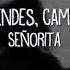 Shawn Mendes Camila Cabello Señorita Lyrics Fariha Sara