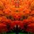 STING WINDMILLS OF YOUR MIND VIDEO BY WEB GIFTS COM Wmv