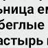 Как Беглые Зеки Через Монастырь Прошли Большой Сборник Свежих Смешных Жизненных Анекдотов