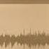Choo Choo Project Hazin Phazin Vocal
