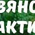 Тайны жизни Славянские практики