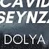Cavid Huseynzade Dolya