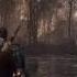 The Witcher 3 Wild Hunt Ladies Of The Woods