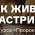 Как живут зороастрийцы Лекция из курса Пророк Заратустра и его религия что надо знать АУДИО