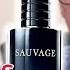 PRADA LUNA ROSSA CARBON Vs DIOR SAUVAGE Dior Sauvage Alternative Prada Luna Rossa Carbon Review