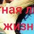 Страстная любовь к жизни Скрытые позитивные аффирмации Саблиминал