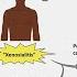 CARTA Comparative Anthropogeny Incidence Of Carcinomas