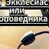 Книга Екклесиаста или Проповедника Глава 11 Библия Книги Священного писания