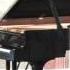 Annie Plays Haydn Sonata No 59 Hob XVI 49 1st Mvt 13th Ettlingen International Piano Competition