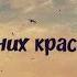 Гурия или Женщина этого Мира Кто из них красивее Шейх Умар ас Саадан